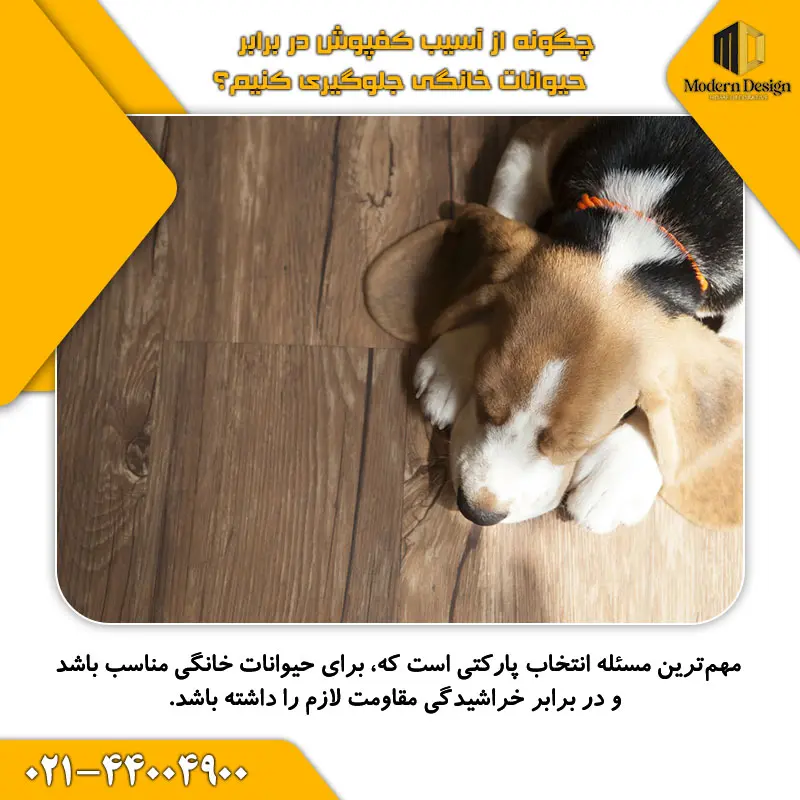 چگونه از آسیب کفپوش در برابر حیوانات خانگی جلوگیری کنیم؟