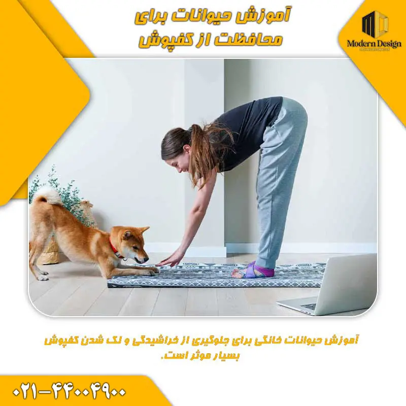 آموزش حیوانات خانگی برای محافظت از کفپوش